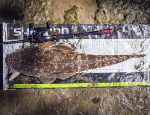 Shimano 2020 Zodias review