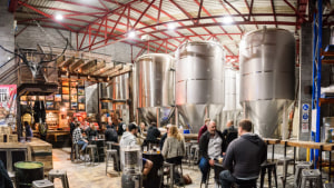 Brewer to install filler to handle bottles and cans