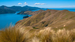 Police criticise two sailors after yacht runs aground in NZ
