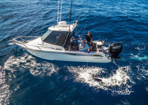 Bar Crusher 670HT review