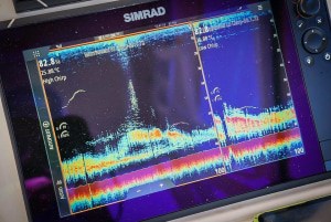Offshore sounder tips with Rod Findlay