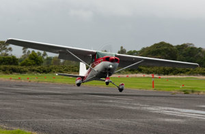 Kiwis Triumph at ALACs