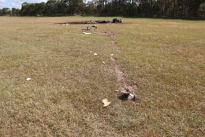 Skydive Plane Stalled in: ATSB