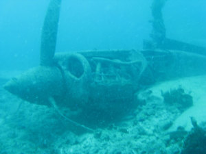 No Conclusions in Horn Island Crash