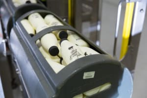 Food of the future at Sydney food exhibition