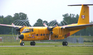 How many Buffalos make a Caribou?