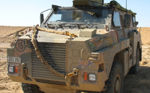 Bushmaster development seeks government funding