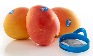 Perfection Fresh wins rights to Calypso mangoes