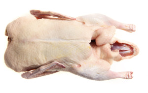 ACCC authorises collective bargaining by chicken growers in Queensland