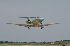 Production Citation M2 Flies