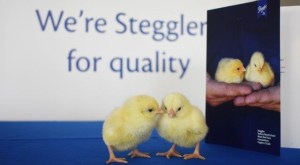 Baiada tackles hormone myths about chicken