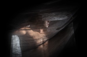 Next Wave comes to Dancehouse