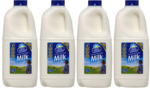 Lion offers improved deal to Qld dairy workers