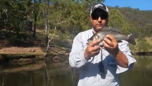 VIDEO: Catching EPs on soft plastics