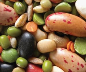 Whole Grain content claims Code reaps results