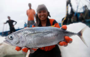 Kraft Heinz bows to pressure following tuna outrage