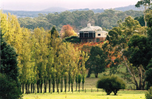 Alibaba pushes brands into China with new Aussie wine store