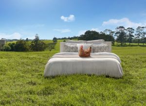 Free range eggs: Sunny Queen steps up