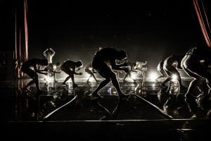 Kibbutz Contemporary Dance Company to make Sydney debut