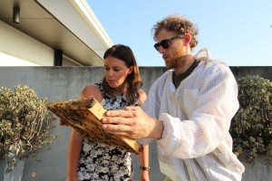 Wiley&rsquo;s new project to employ 400,000 workers