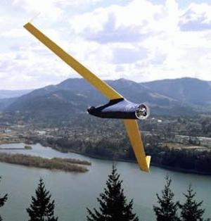 Insitu&rsquo;s seachange