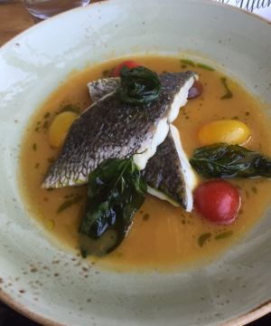 Italian tomato industry fights back