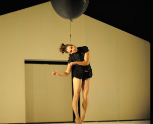 Brisbane Festival SPECIAL OFFER!