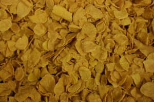 Kellogg celebrates sugar and sodium reduction