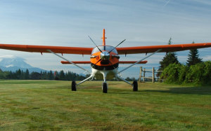 Quest Kodiak to tour in March