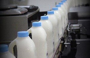 Kyvalley Dairy Group snaps up MG's Kiewa Country brand