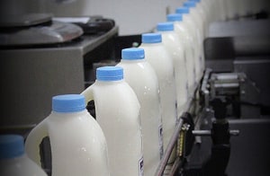 Saputo seeks to placate ACCC with dairy plant divestment plan