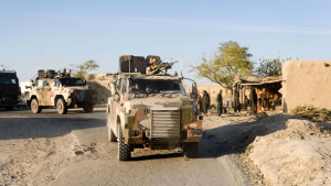 More Bushmasters for Dutch