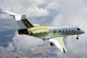 Legacy 450 Flies