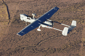 Hunter to hunt some more