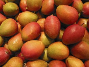 QFF: QLD farmers face $100m losses
