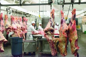 Agricultural producers face export roadblock