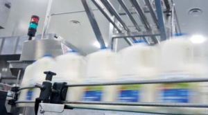 Murray Goulburn earnings in the spotlight