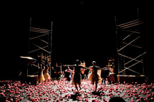 What's on at the Adelaide Festival