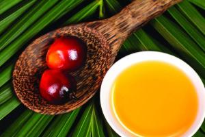 Inquiry finds need for modern slavery laws in Australia