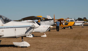 Private GA needs More Oversight: Survey