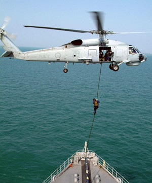 BAE may expand Nowra facility