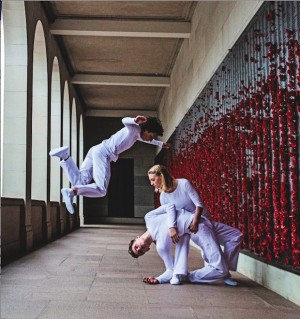 A new take on the Gallipoli centenary