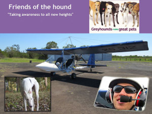 Record Attempt to Benefit Hounds
