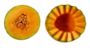 Rockmelon warning issued after two deaths