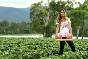 Matilda's moves into mangoes