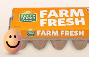 First Aussie eggs land in Taiwan