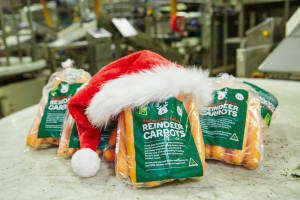 Woolies ramps up carrot production for Rudolph and friends