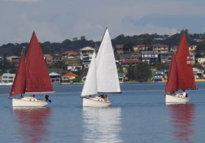 Sixteenth Cygnet 20 ordered from Australian trailer sailer builder