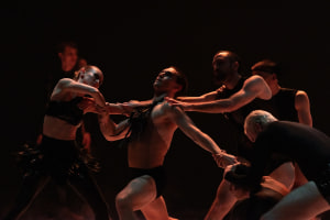 Sydney Dance Company&rsquo;s Engine To Open At The Art House Wyong