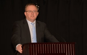 Act Amendment Bill doesn't go Far Enough: Albanese